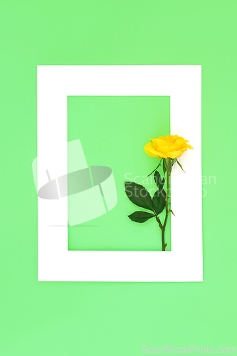 Image of In Memorium RIP Rose Flower Background Frame