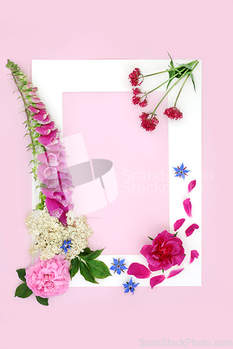 Image of Wildflower Herbal Plant Medicine Background Border