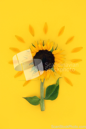 Image of Sunflower Summer Sunshine Abstract Design 