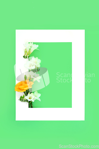 Image of Memorial RIP Rose Freesia Flower Background Border