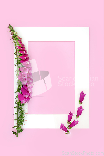 Image of Foxglove Wild Flower Background for Healing Plant Medicine