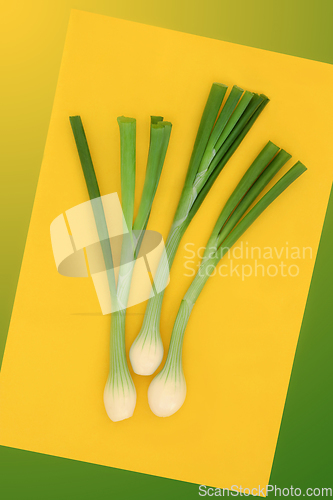 Image of Spring Onions Healthy Organic Salad Food 