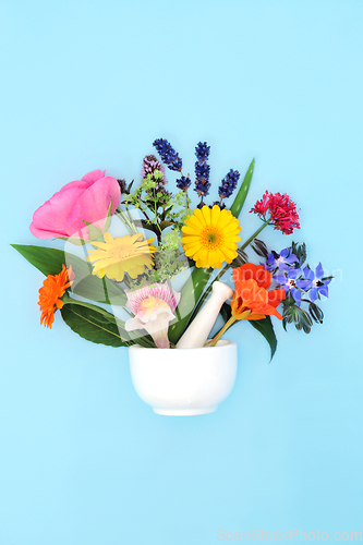 Image of Flowers and Herbs For Natural Flower Healing Remedies 