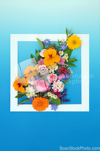 Image of Edible Flower Wildflowers and Herb Leaf Abstract Composition