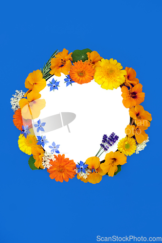 Image of Summer Wreath of Healing Flowers and Herbs