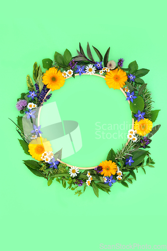 Image of Floral Wreath with Summer Flowers and Herbs  