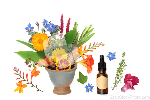 Image of Healing Flowers and Herbs used in Herbal Flower Remedies