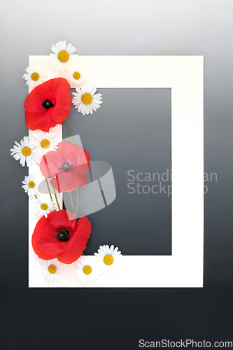 Image of Edible Summer Wildflower Background Frame 