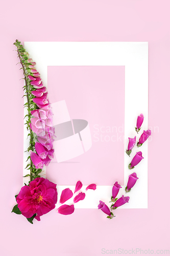 Image of Rose and Foxglove Summer Flowers for Herbal Plant Medicine