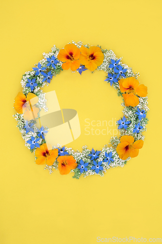 Image of Summer Flowers and Wildflowers Herb Wreath 