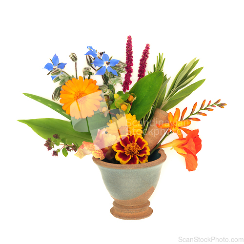 Image of Summer Flowers and Herbs for Natural Herbal Plant Medicine