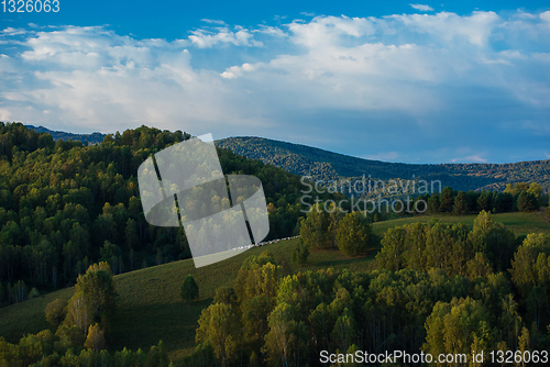 Image of A herd of sheep in the Altai mountains.