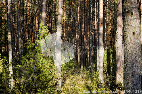 Image of autumn season of September.