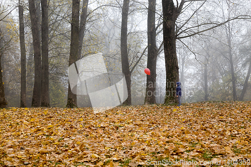 Image of balloon boy one