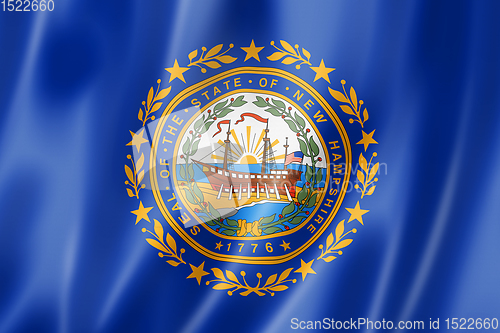 Image of New Hampshire flag, USA