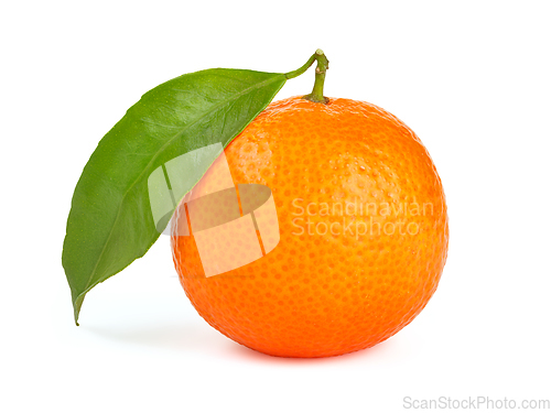 Image of Orange tangerine with leaf isolated