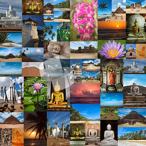 Image of Collage of Sri Lanka images