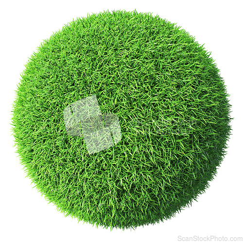 Image of Green grass sphere isolated