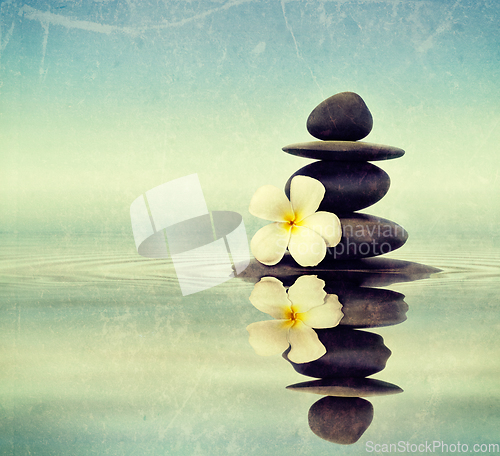 Image of Zen stones with frangipani