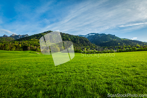 Image of Alpine meadow in Bavaria, Germany