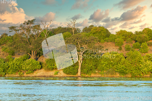 Image of Chobe river landscape Botswana, Africa