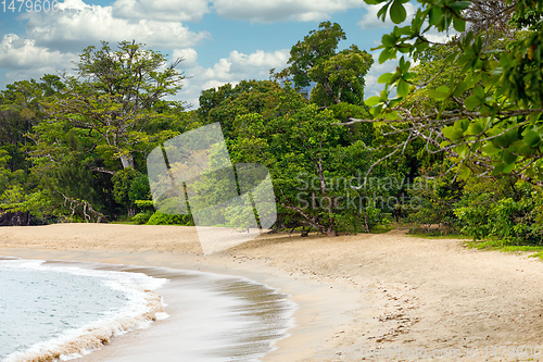 Image of beach in Masoala forest reserve, Madagascar