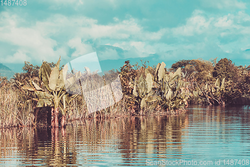 Image of beautiful Madagascar wilderness landscape