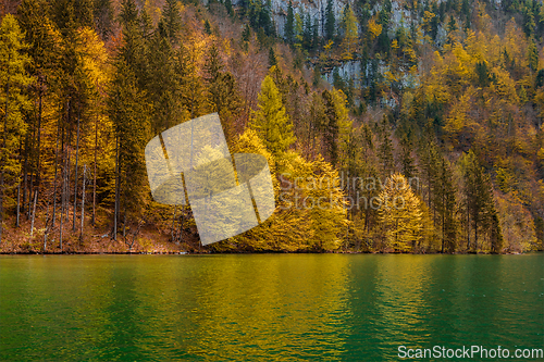 Image of Autumn forest trees reflecting in lake