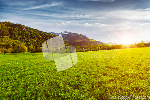 Image of Alpine meadow in Bavaria, Germany