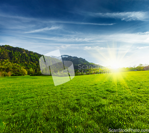 Image of Alpine meadow in Bavaria, Germany