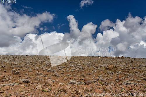 Image of Ethiopian Bale Mountains landscape, Ethiopia Africa