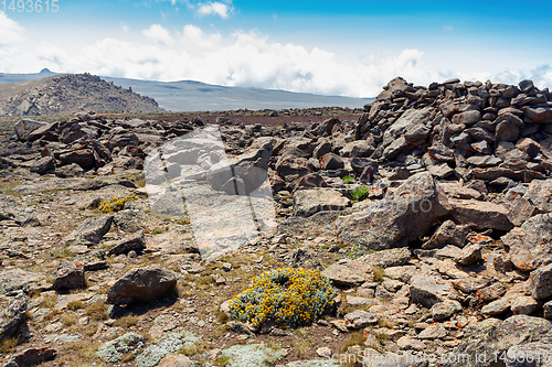 Image of Ethiopian Bale Mountains landscape, Ethiopia Africa