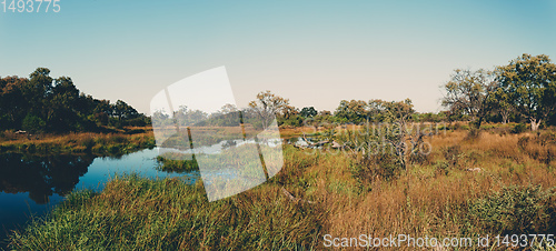 Image of Moremi game reserve landscape, Botswana Africa wilderness