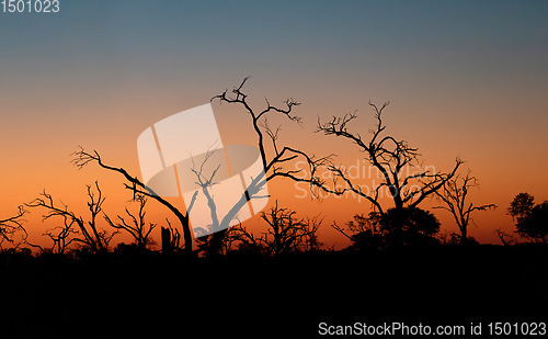 Image of Sunset in Africa, Okavango Delta, Botswana