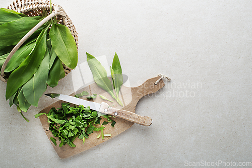 Image of Ramson wild garlic 