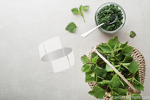 Image of Nettle leaves