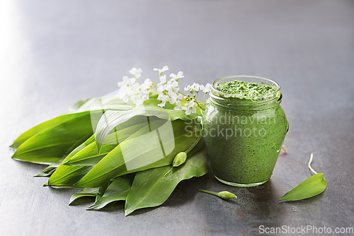 Image of Ramson wild garlic pesto