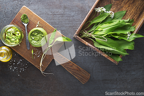 Image of Ramson wild garlic pesto