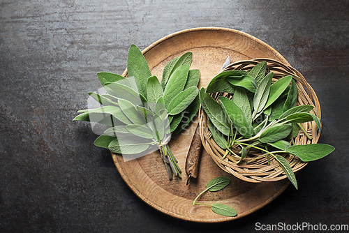 Image of Sage leaves