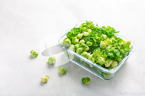 Image of Fresh  organic green brussel sprouts and small winter cabbage vegetable in glass container, ready to freeze