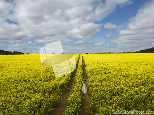 Image of Woman in a field of yellow flowering canola crop farm