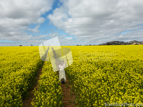 Image of Woman walking through a field of yellow canola flowers