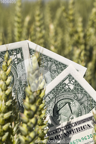 Image of one American dollar pile , agricultural business