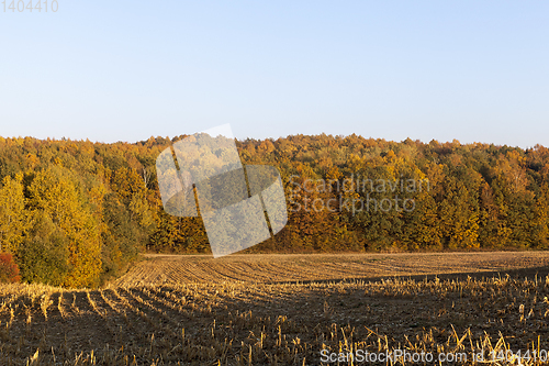 Image of agricultural field