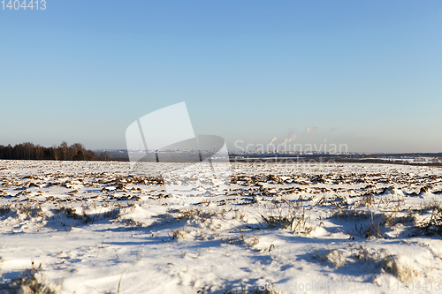Image of snow-covered grass