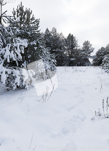 Image of winter day after a snowfall