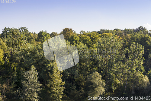 Image of autumn park sunlight