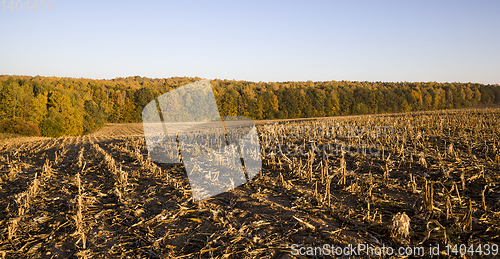 Image of agricultural field