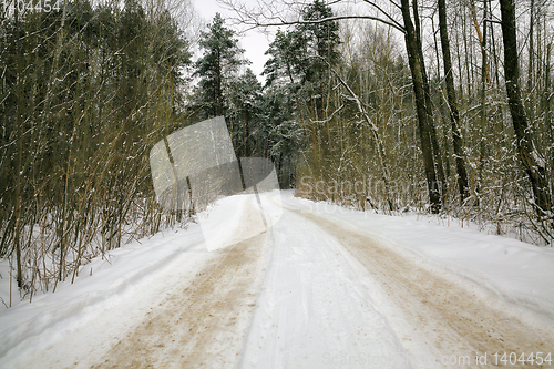 Image of details of the snow-covered road in forest