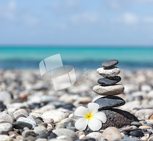 Image of Zen balanced stones stack with plumeria flower